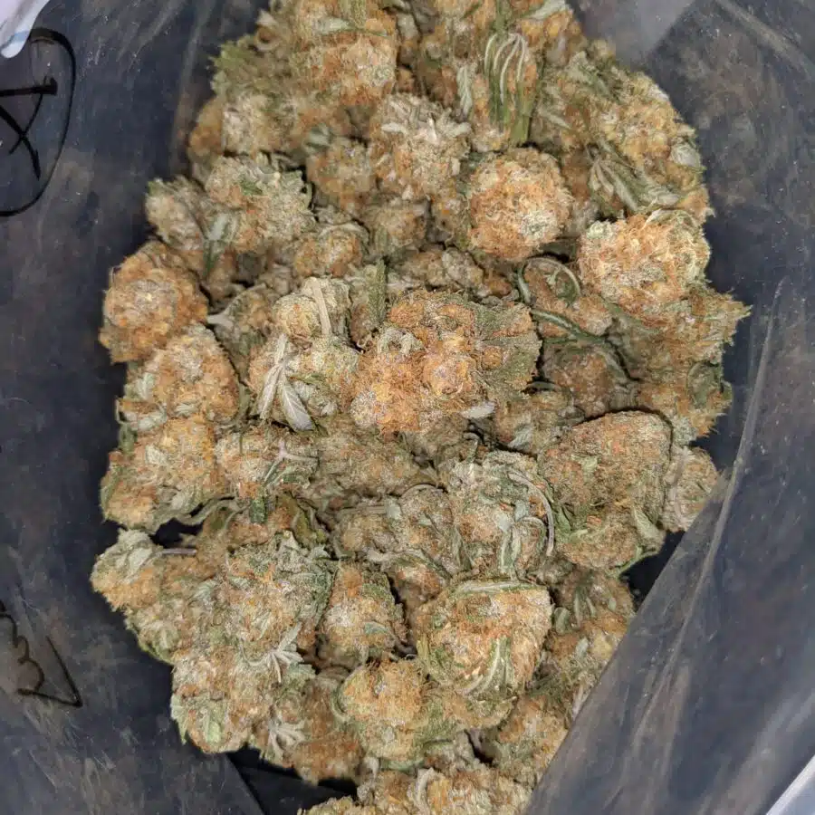 orange whiskey 2 1 I $ 50 Oz - Orange Whisky