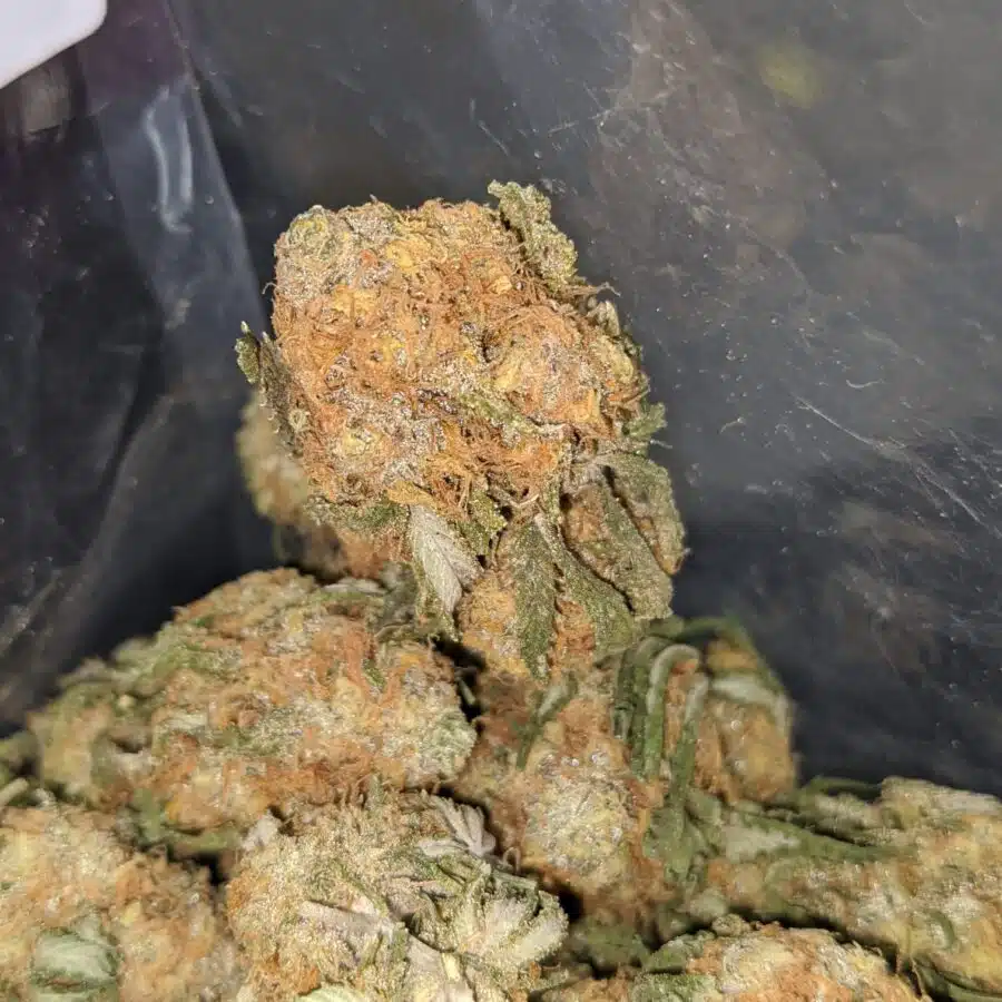 orange whiskey 3 1 I $ 50 Oz - Orange Whisky