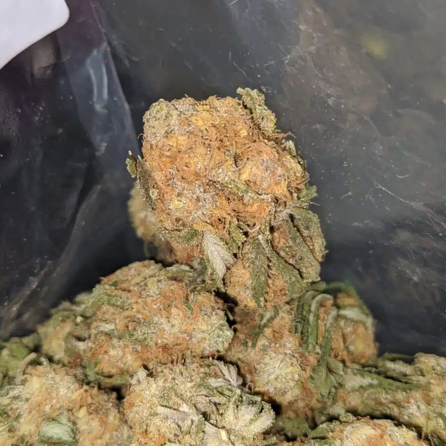 orange whiskey 4 1 I $ 50 Oz - Orange Whisky