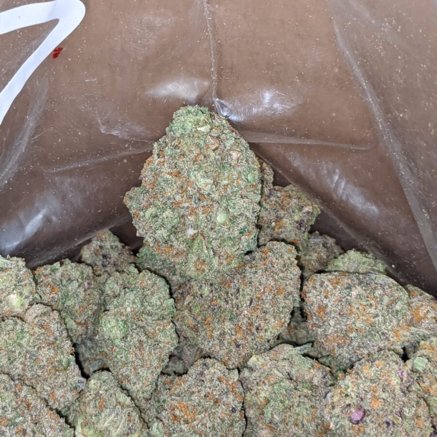 Pink Bubblegum - Image 5