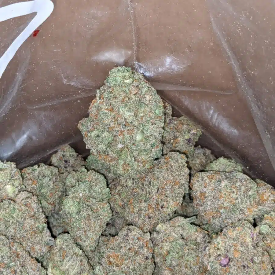 pink bubblegum 1 I Pink Bubblegum