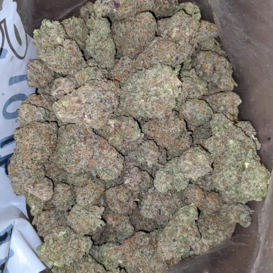 pink bubblegum 3 I Pink Bubblegum