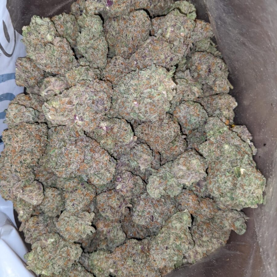 Pink Bubblegum - Image 6