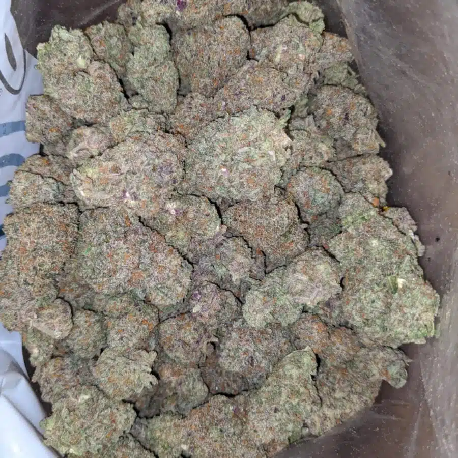 pink bubblegum 4 I Pink Bubblegum