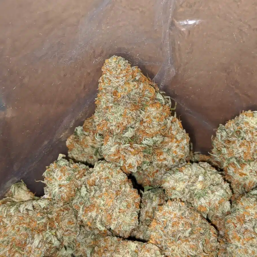 racefuel 1 1 I $ 53 Oz - Racefuel