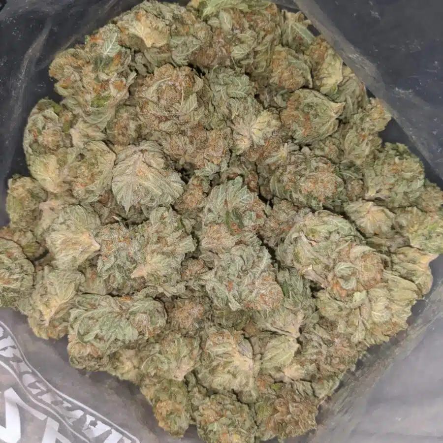racefuel 1 I $ 53 Oz - Racefuel