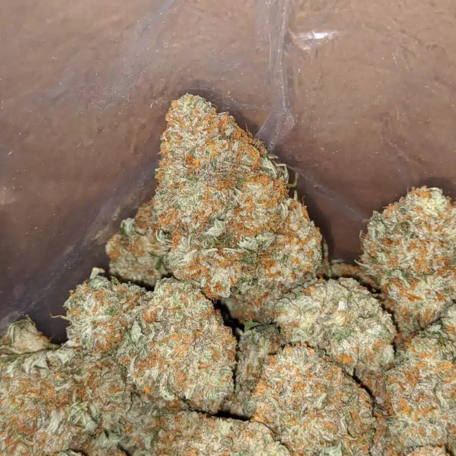racefuel 2 1 I $ 53 Oz - Racefuel