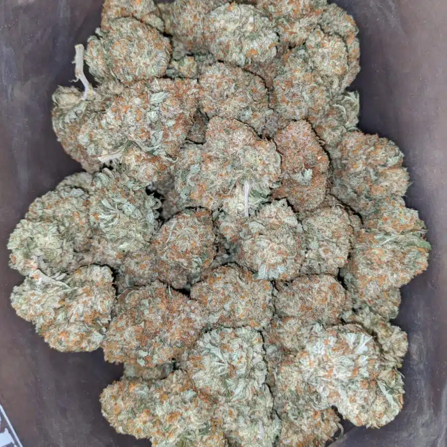 racefuel 3 1 I $ 53 Oz - Racefuel