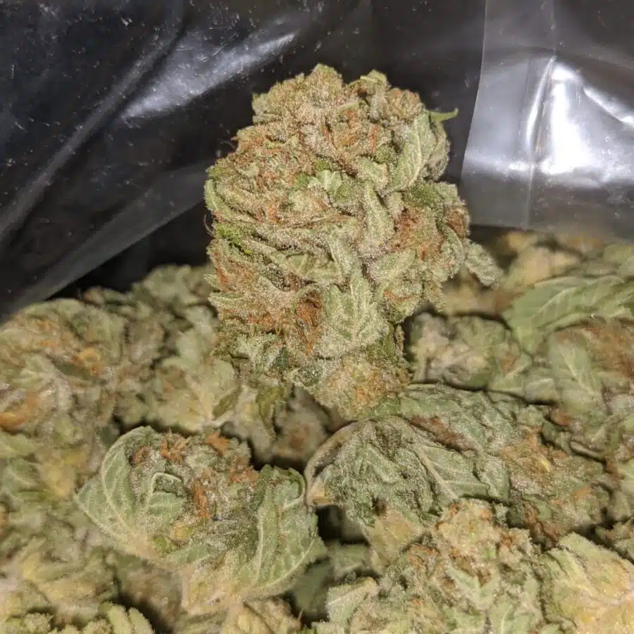 racefuel 3 I $ 53 Oz - Racefuel