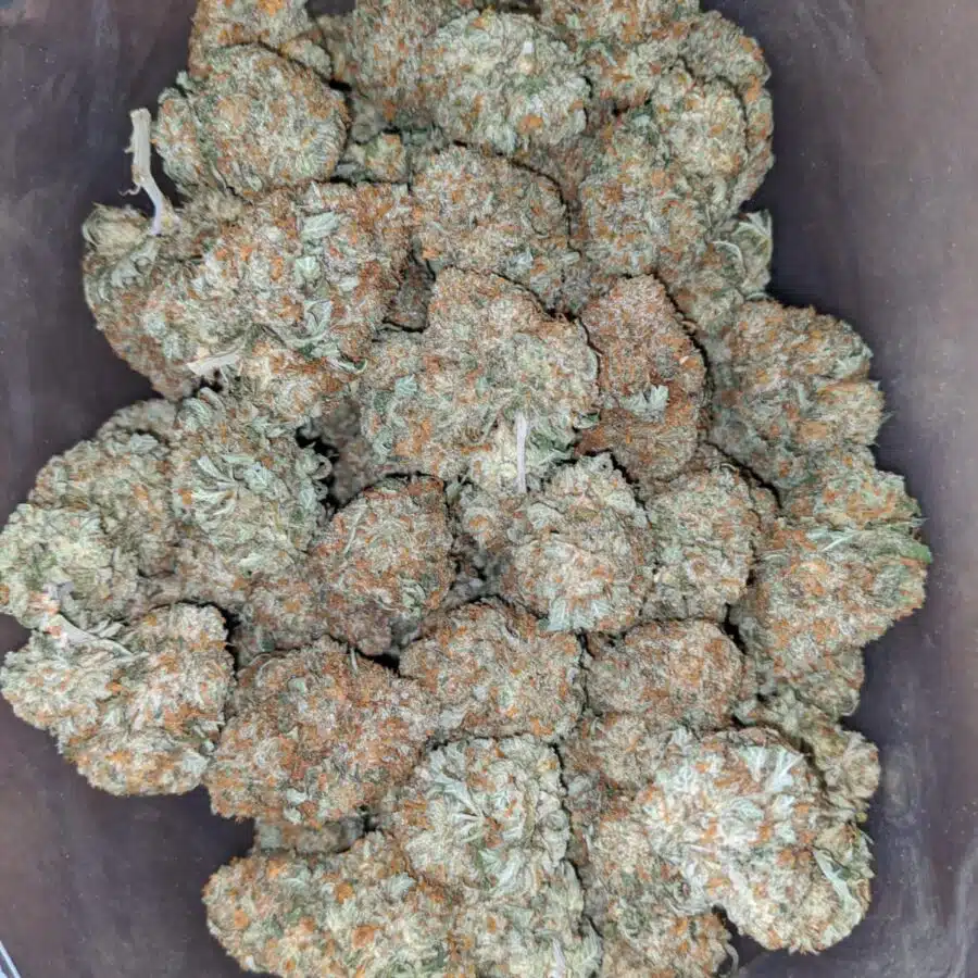 racefuel 4 1 I $ 53 Oz - Racefuel