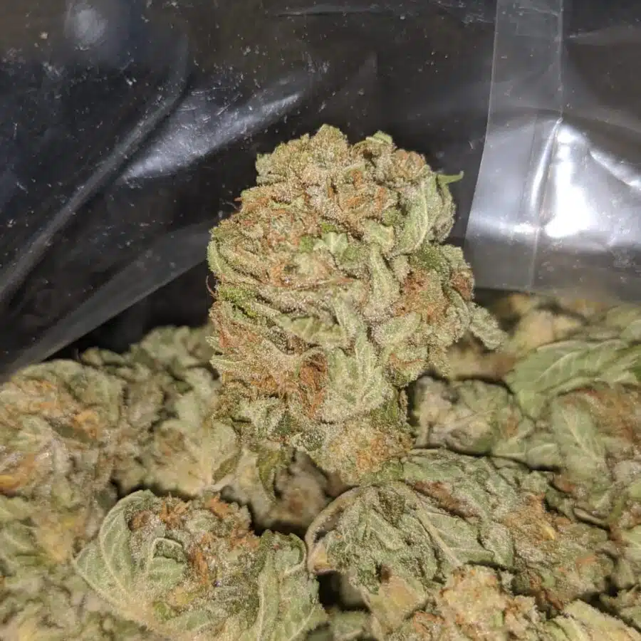 racefuel 4 I $ 53 Oz - Racefuel
