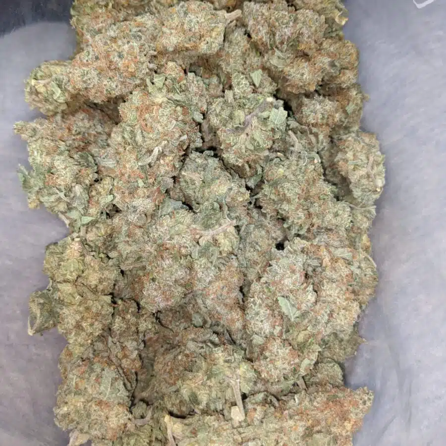 seattle cough 1 I $ 54 Oz - Seattle Cough