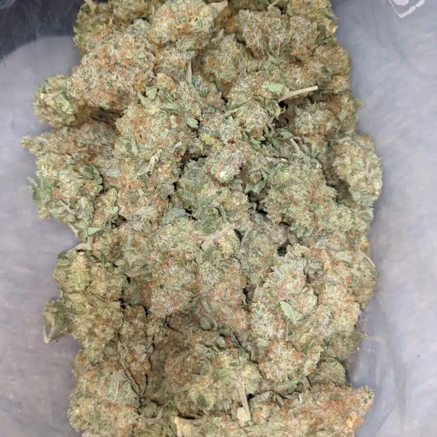 seattle cough 2 I $ 54 Oz - Seattle Cough