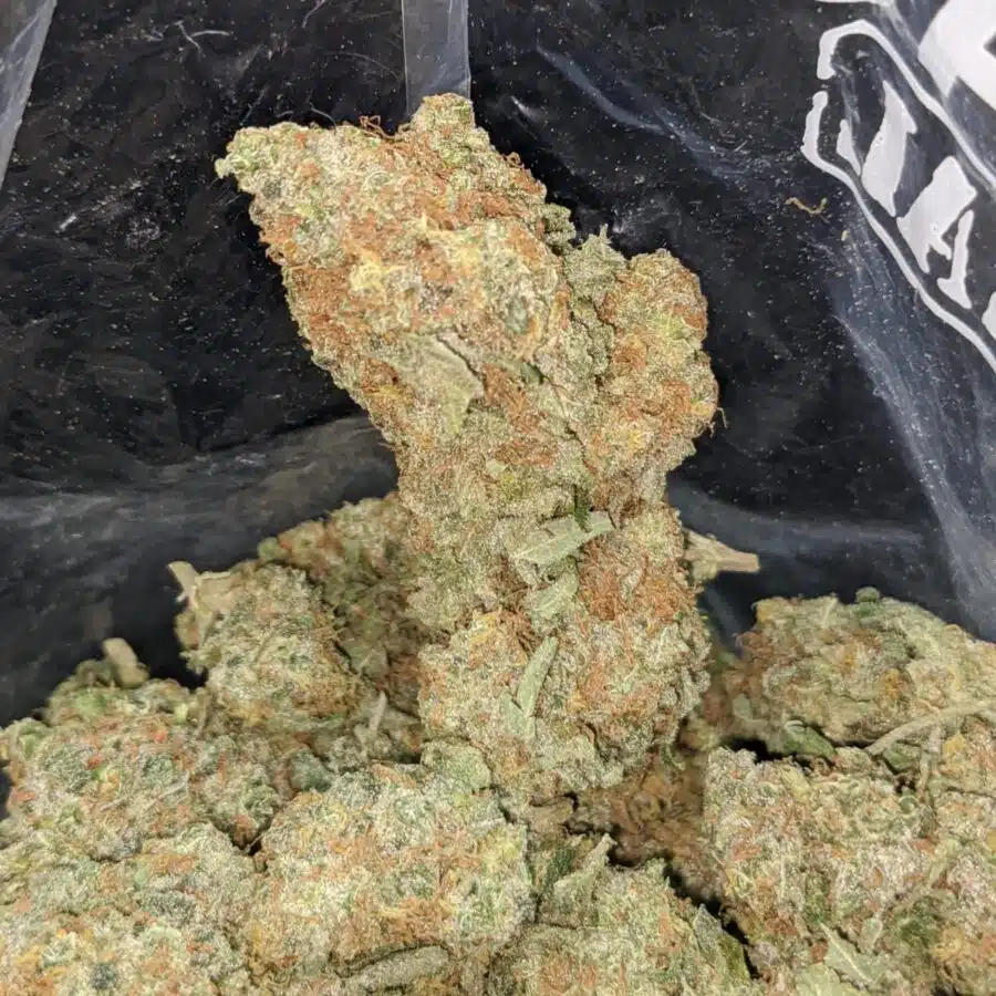 seattle cough 3 I $ 54 Oz - Seattle Cough