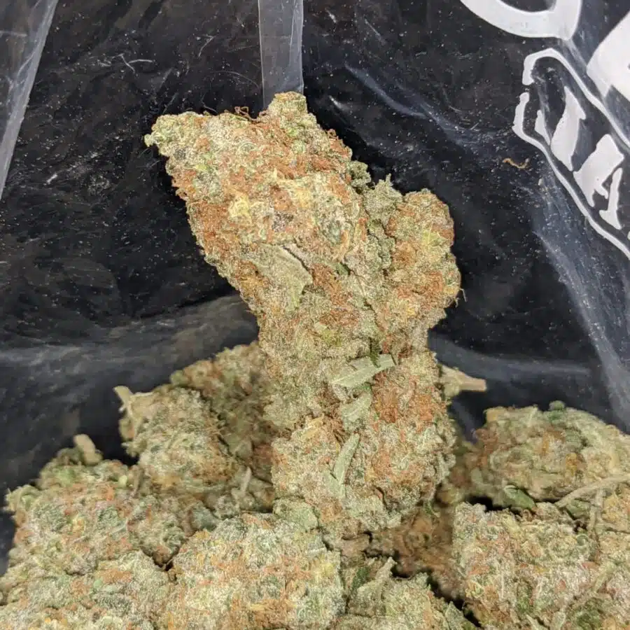 seattle cough 4 I $ 54 Oz - Seattle Cough