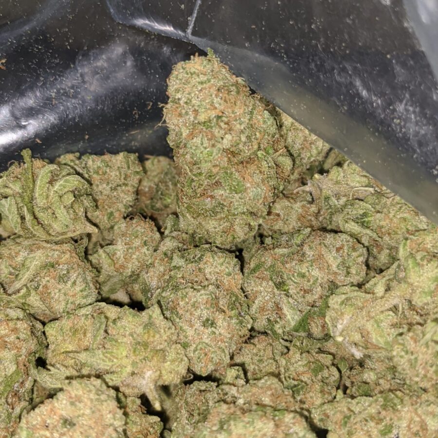 zombie kush 1 I Zombie Kush