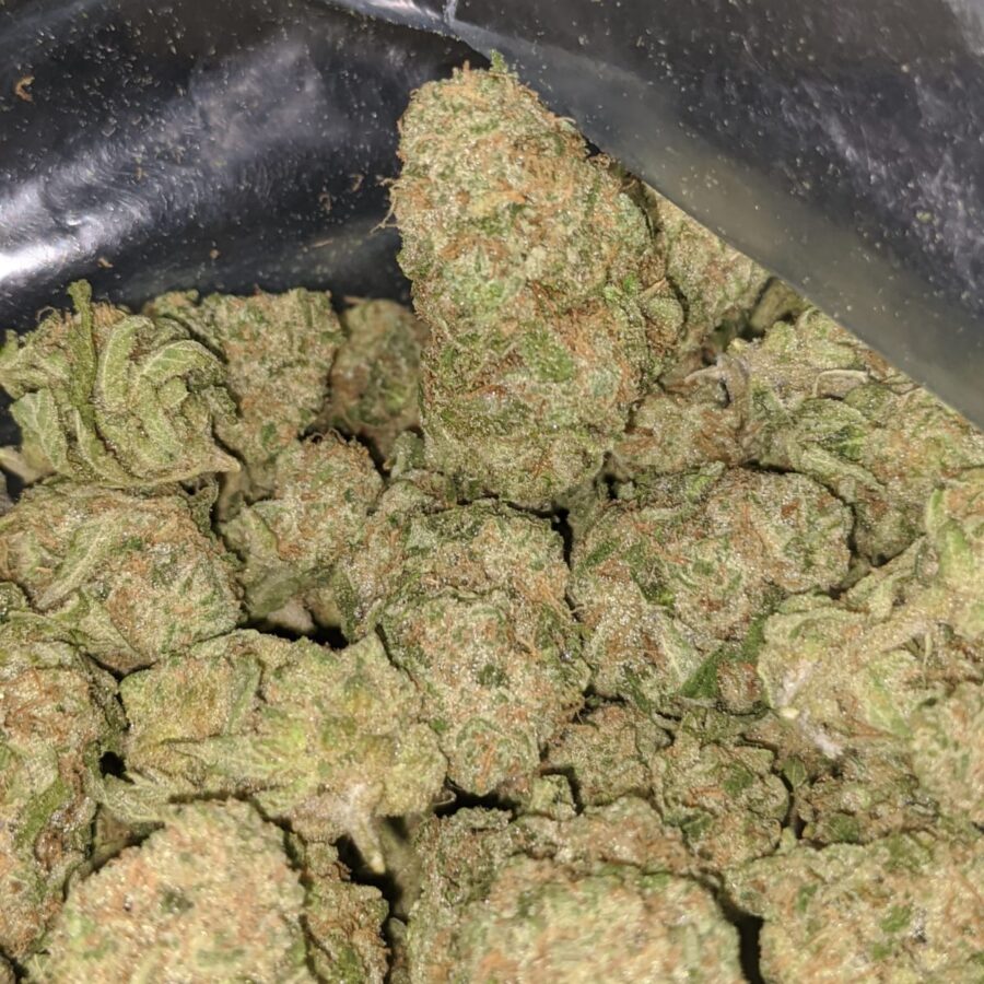 zombie kush 2 I Zombie Kush