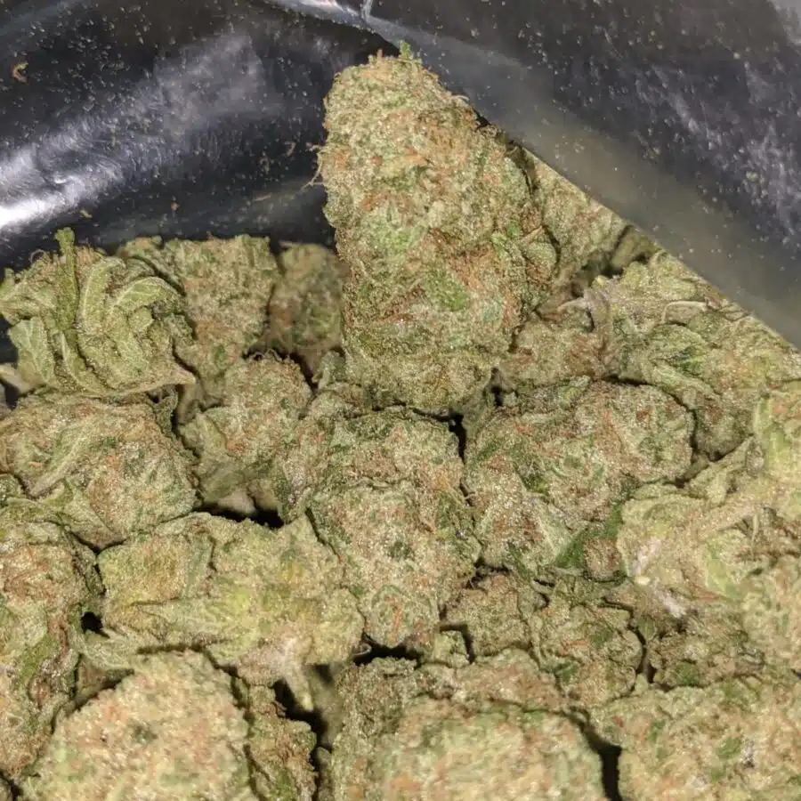zombie kush 2 I Zombie Kush