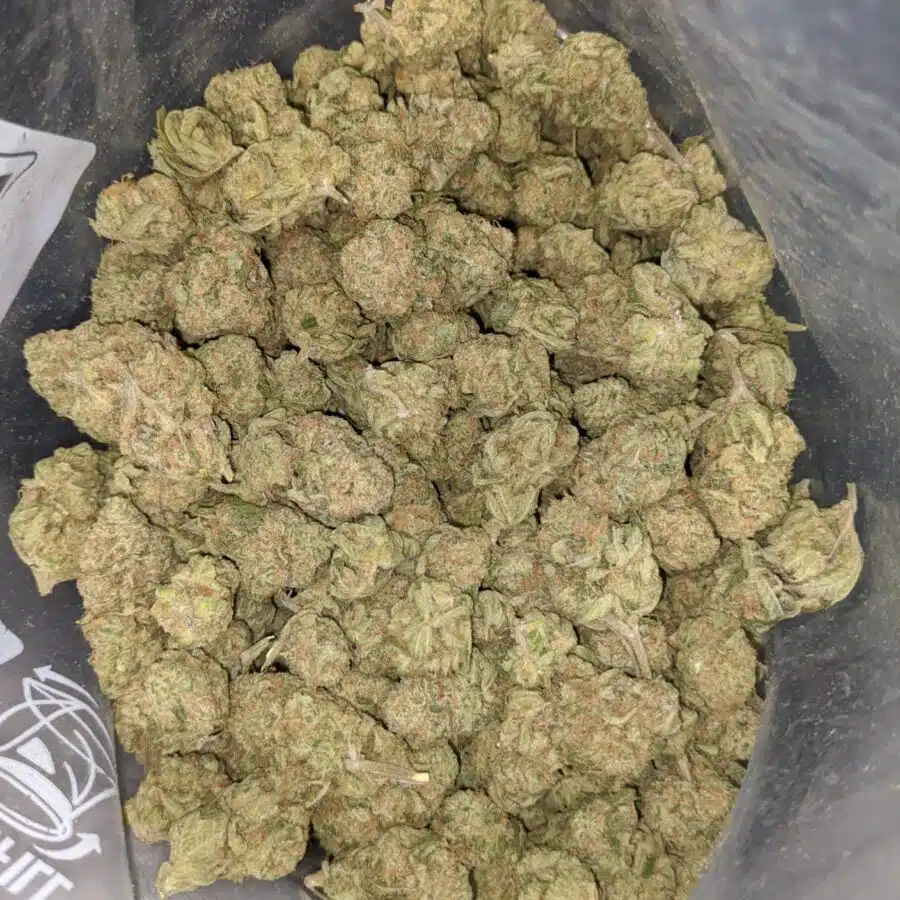 zombie kush 3 I Zombie Kush