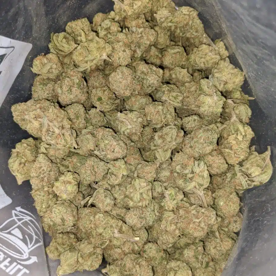 zombie kush 4 I Zombie Kush