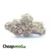 AA+ Bulk Special Indica