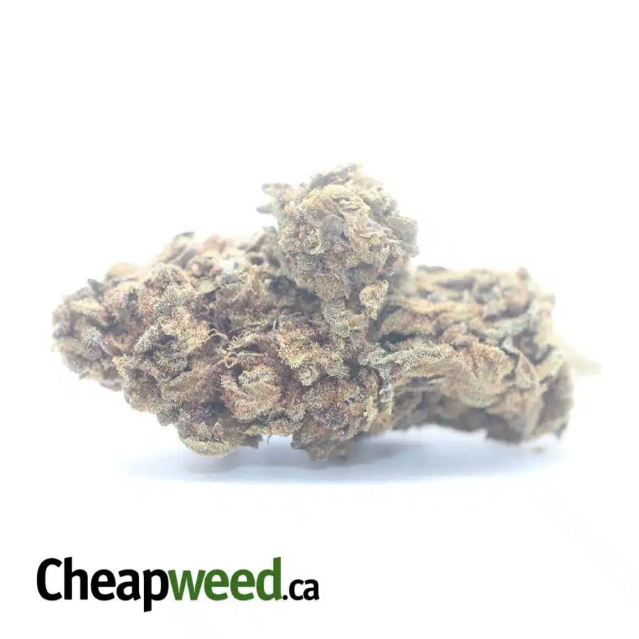 AA+ Bulk Special Indica
