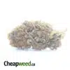 AA Bulk Special Indica #2
