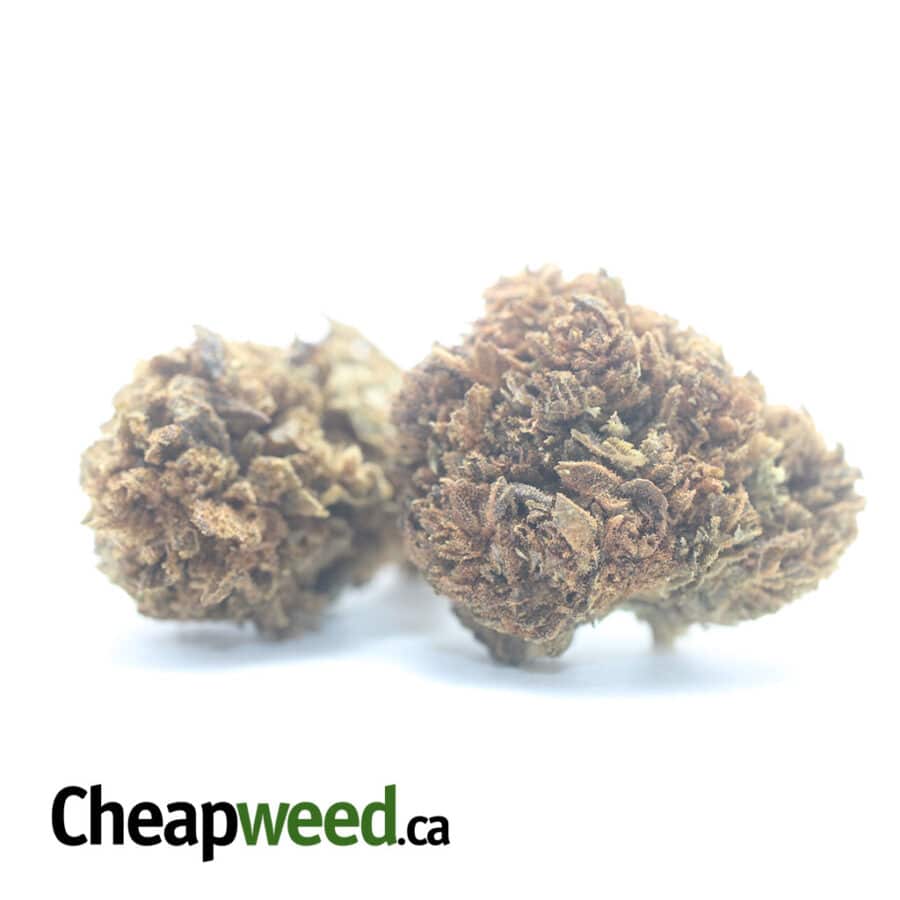 AA BULK SPECIAL INDICA 2 3 I AA Bulk Special Indica #2
