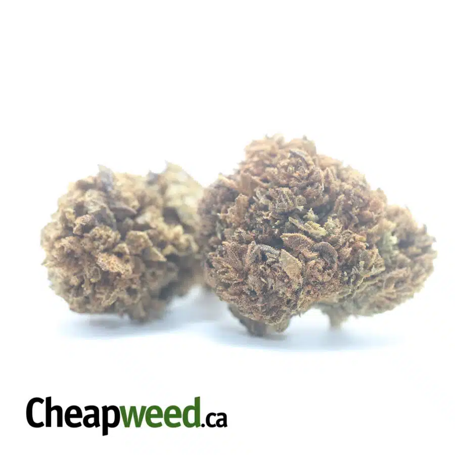 AA BULK SPECIAL INDICA 2 3 I AA Bulk Special Indica #2