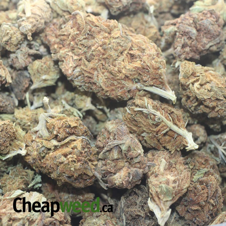 AA+ Bulk Special Indica - Image 3