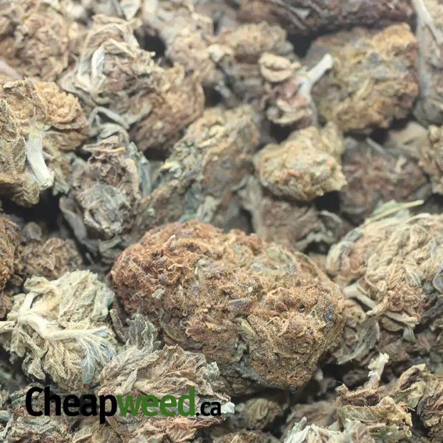 AA CHEAP HYBRID 1 I $25 Oz - Ounce Special
