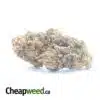 AA Cheap Sativa