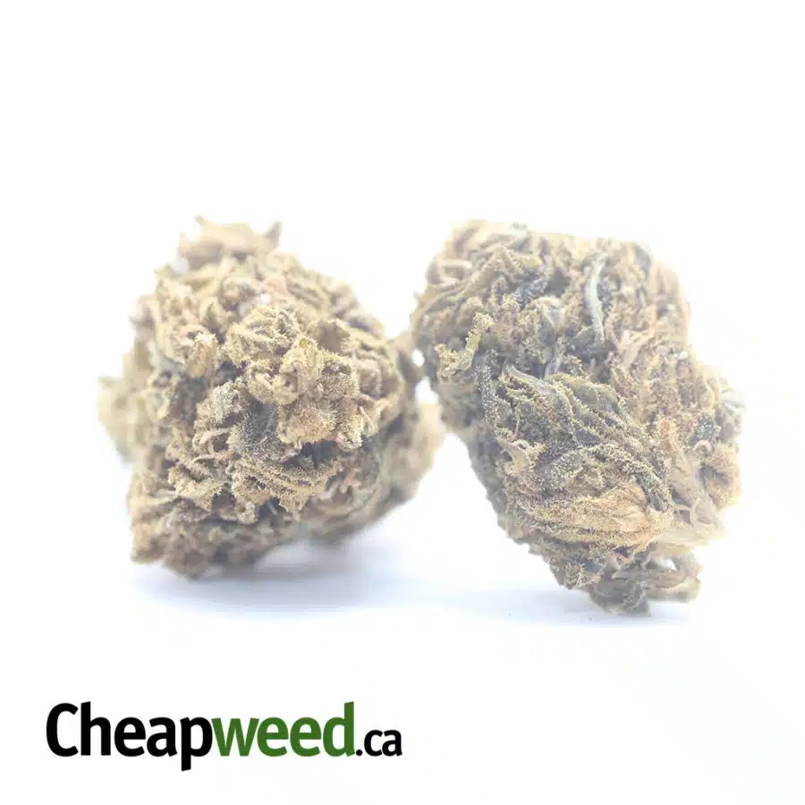 Alternative view of AA Cheap Sativa