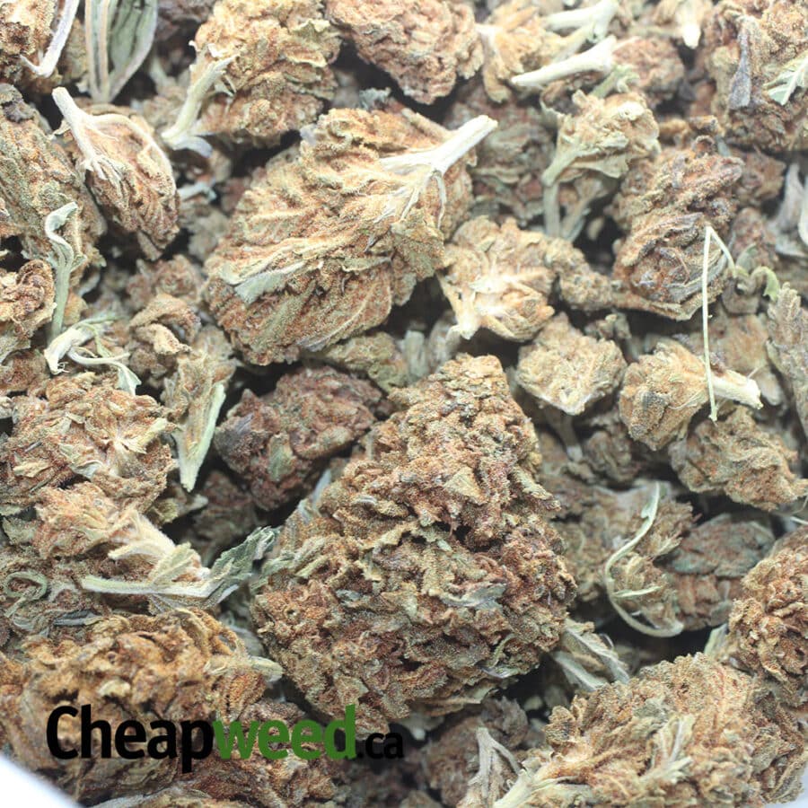 AA CHEAP WEED 1 I AA Cheap Weed