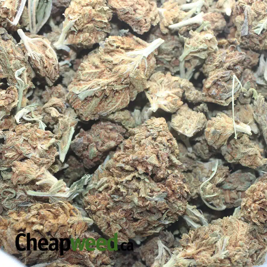 AA CHEAP WEED 1 I AA Cheap Weed