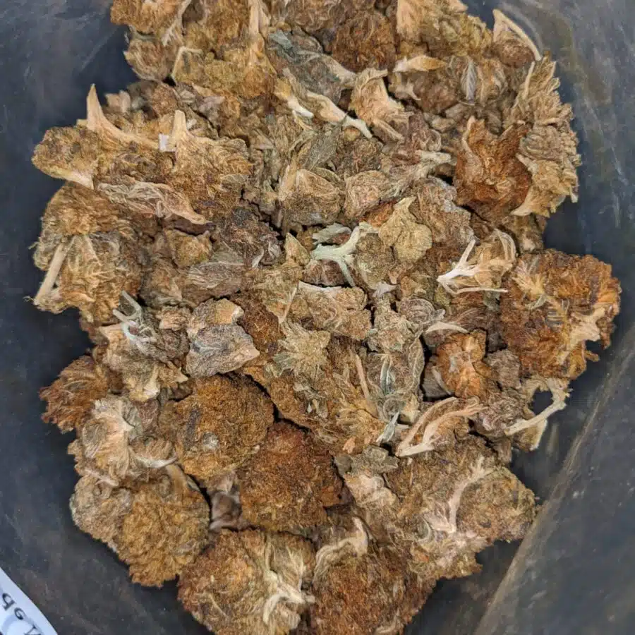 AA bulk special indica 2 1 I AA Bulk Special Indica #2