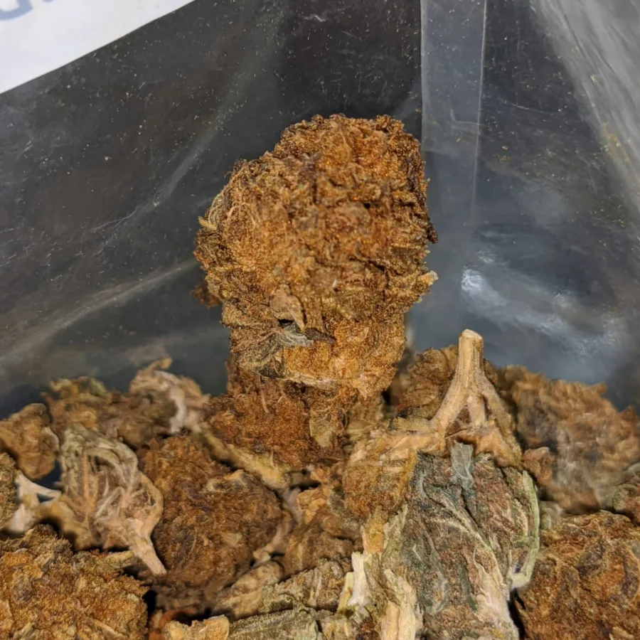 AA bulk special indica 2 3 I AA Bulk Special Indica #2