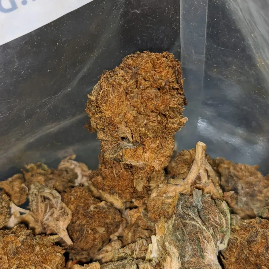 AA bulk special indica 2 4 I AA Bulk Special Indica #2