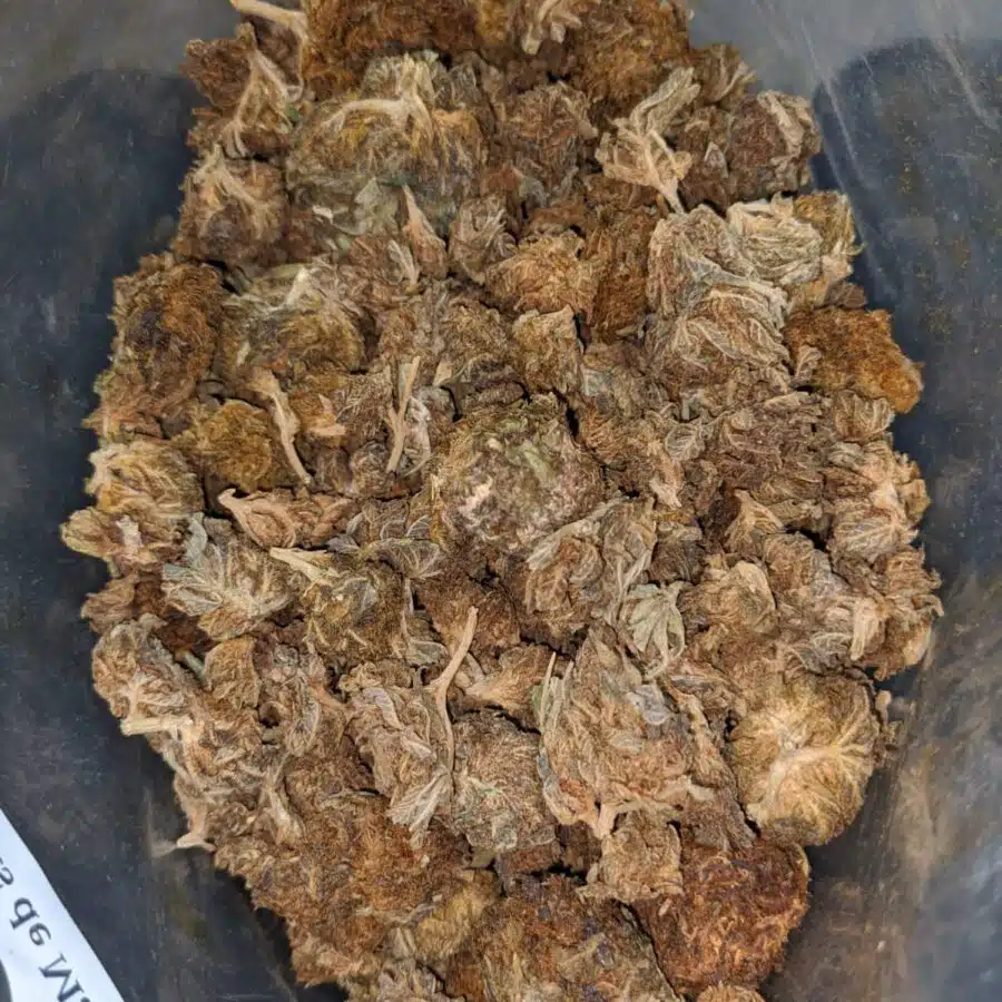 AA cheap hybrid 2 I $25 Oz - Ounce Special