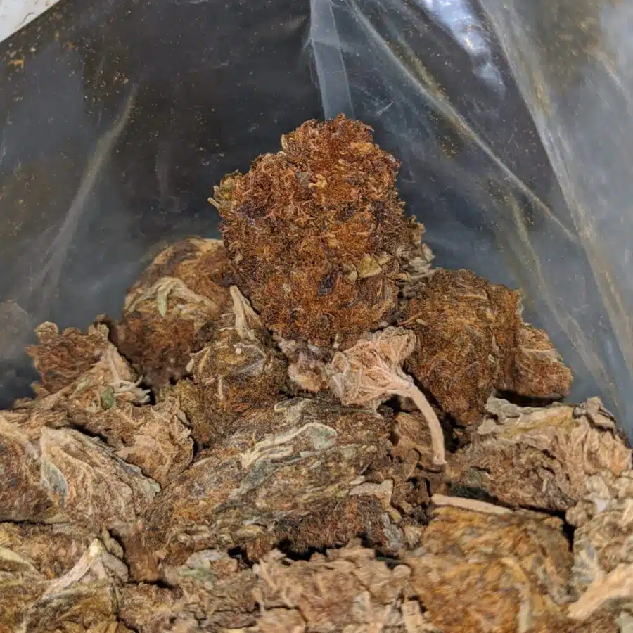 AA cheap hybrid 3 I $25 Oz - Ounce Special