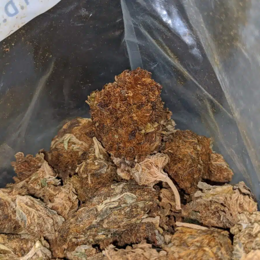 AA cheap hybrid 4 I $25 Oz - Ounce Special