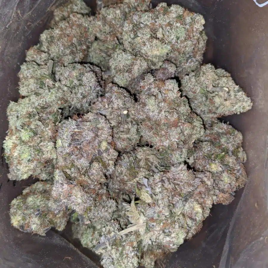 Alternative view of $ 107 Oz - Black Gas
