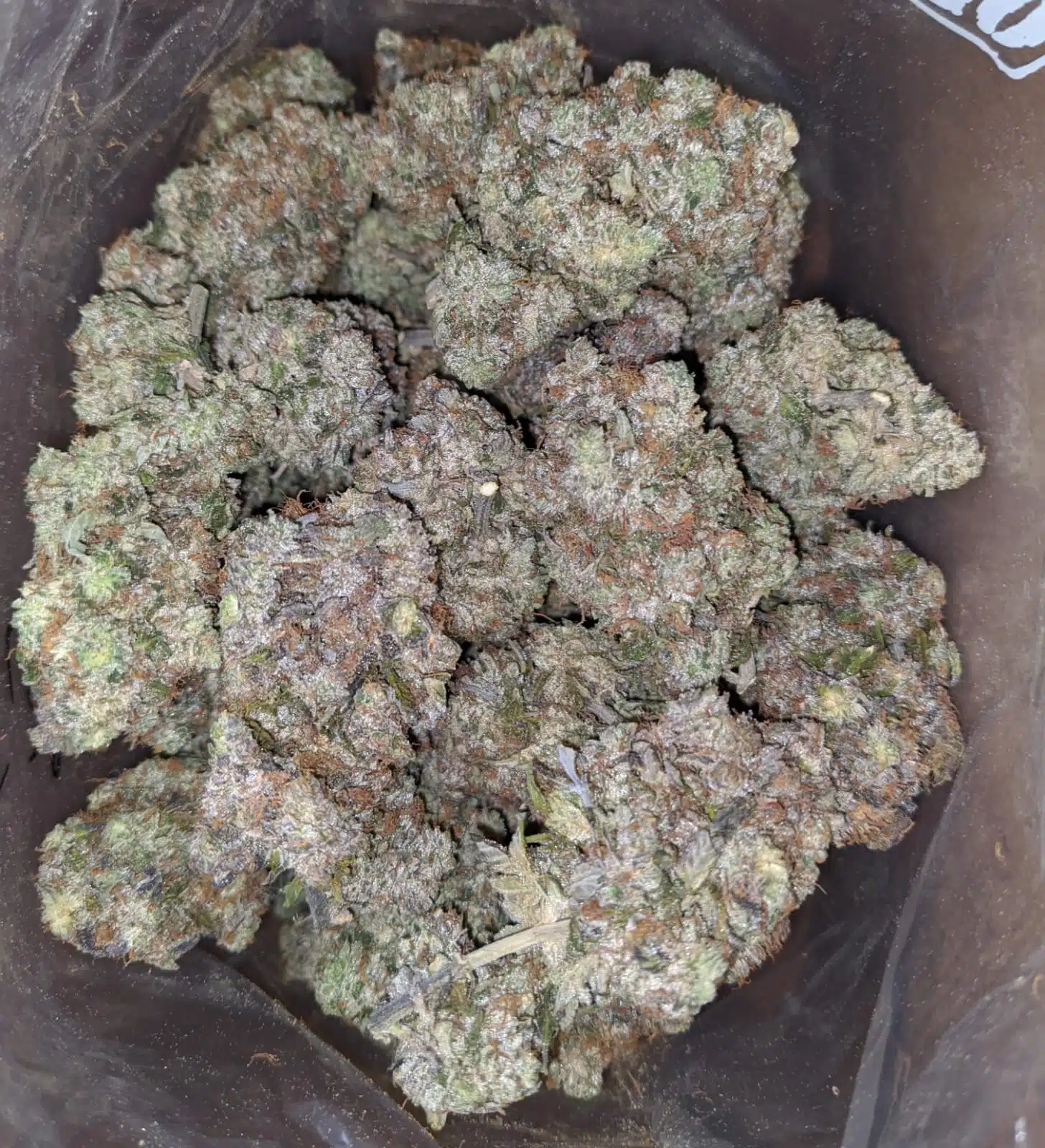 $ 107 Oz - Black Gas - Image 2