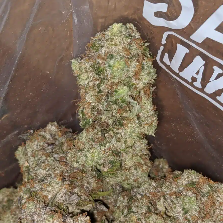 BLACK GAS 4 I $ 107 Oz - Black Gas