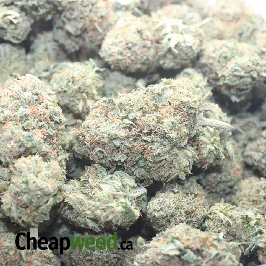 BUBBA KUSH 6 I $ 50 Oz - Bubba Kush