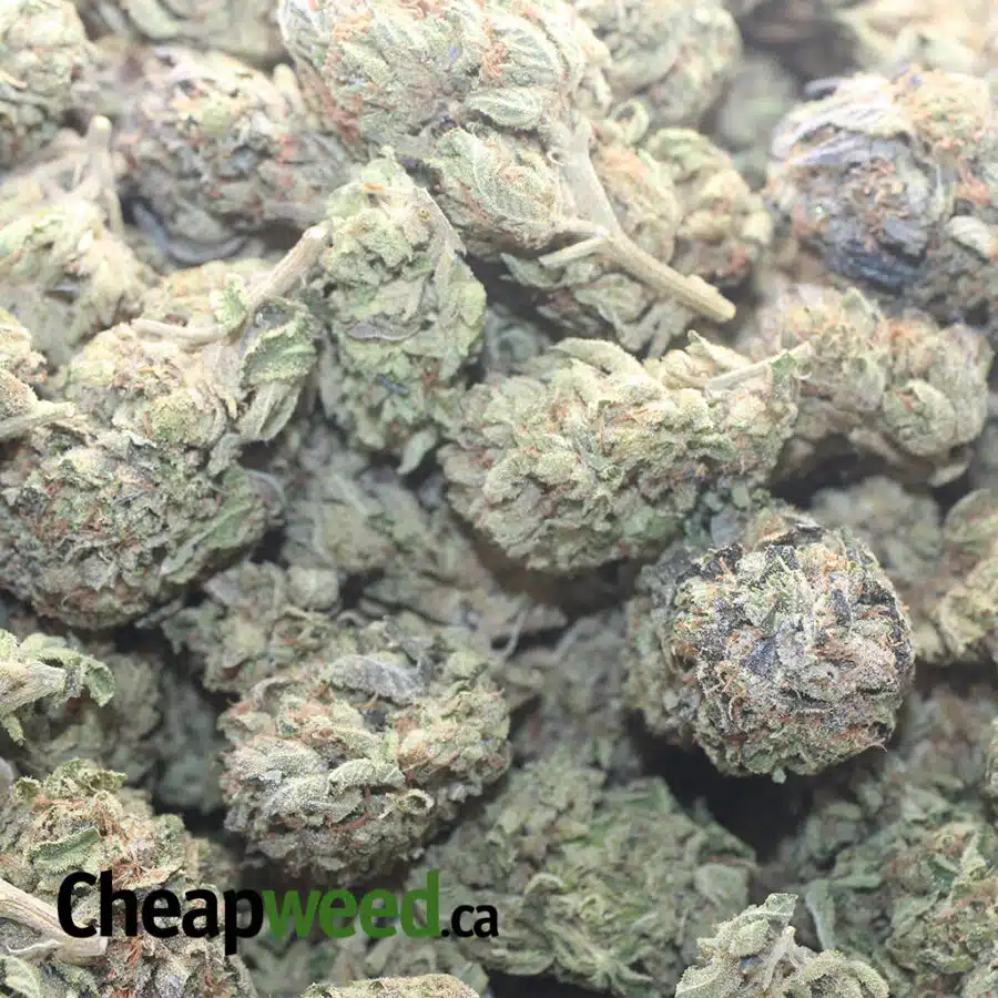 DANK STAR 1 I $54 Oz - Dank Star