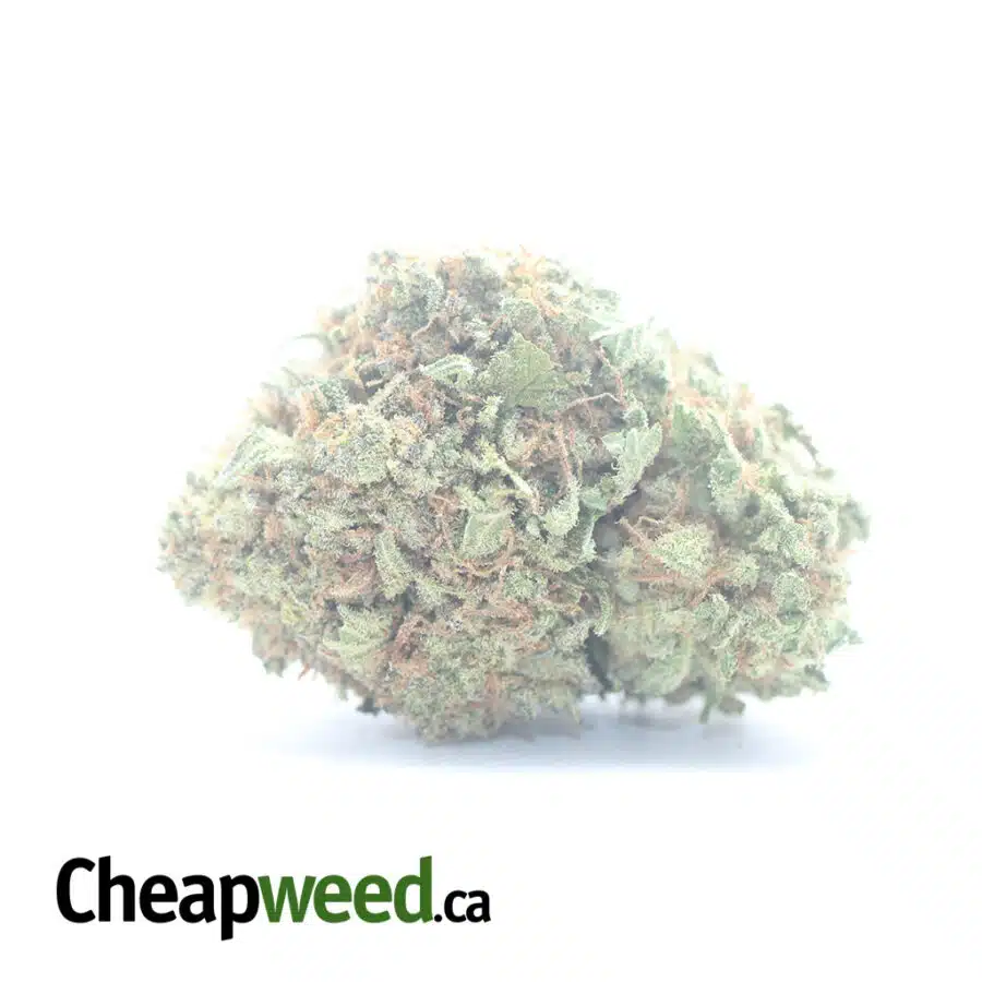 $ 55 Oz - Duke Nukem