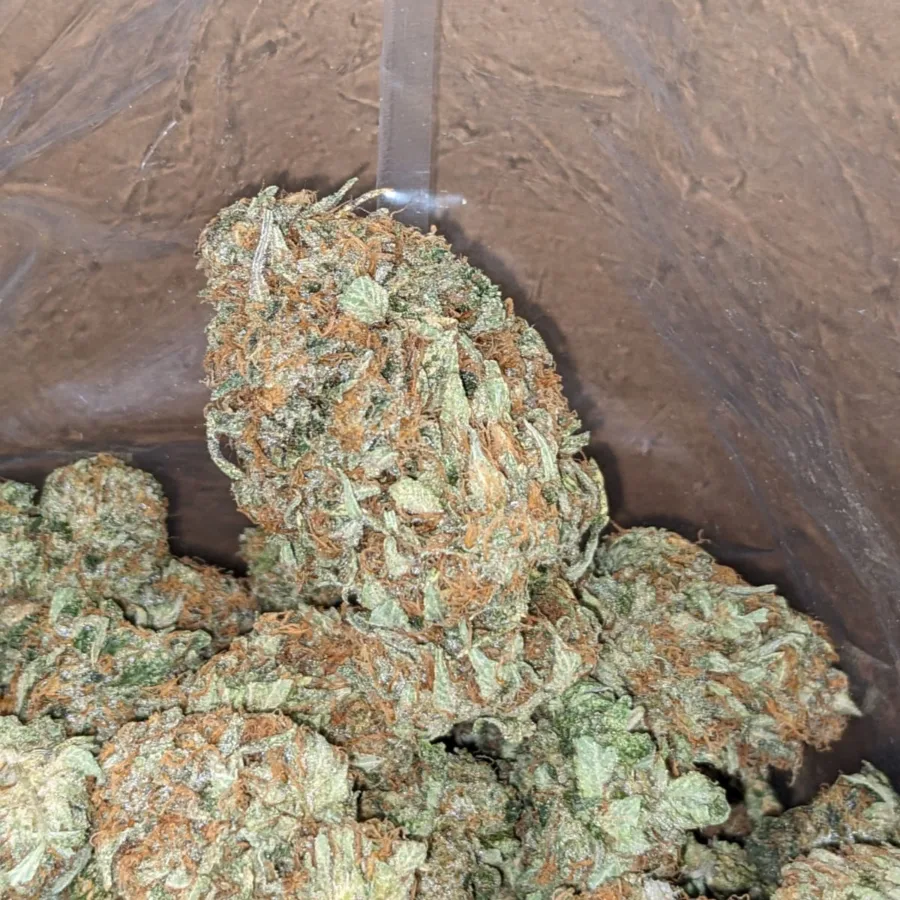 Dank Star - Image 3