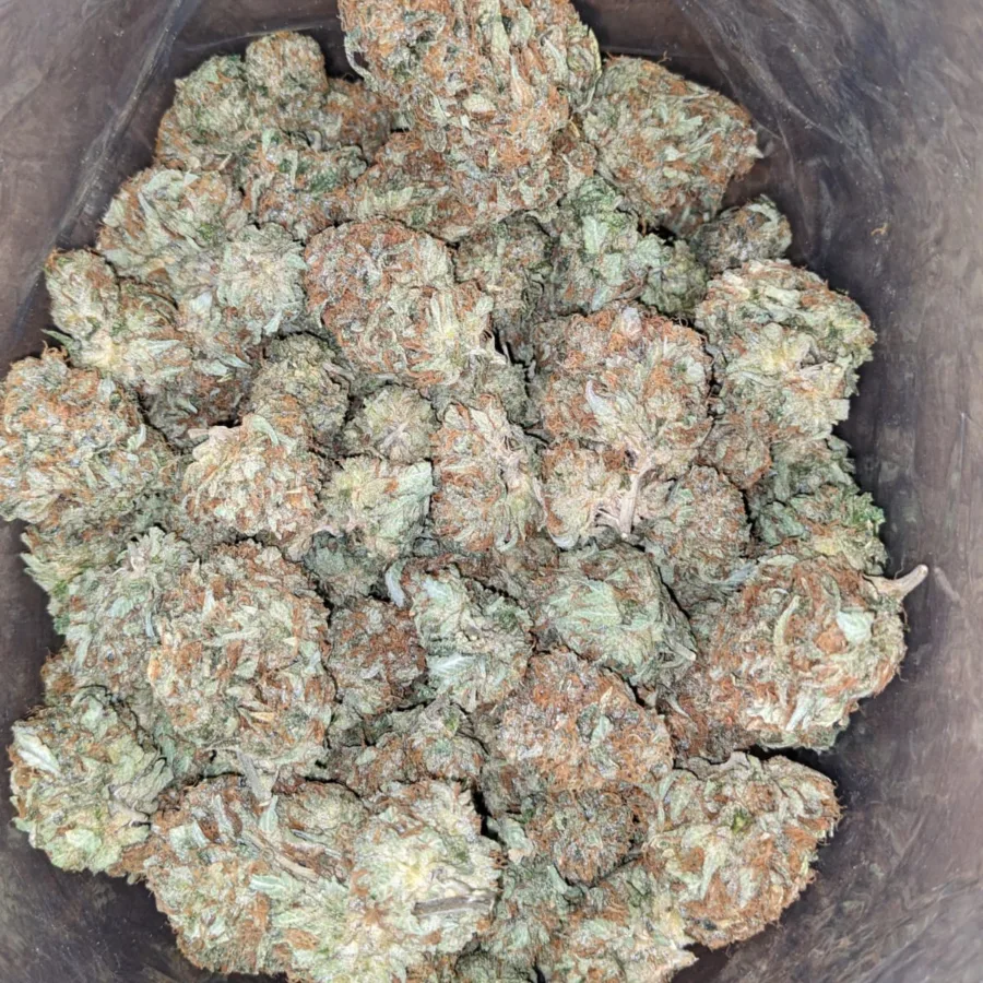 Dank Star