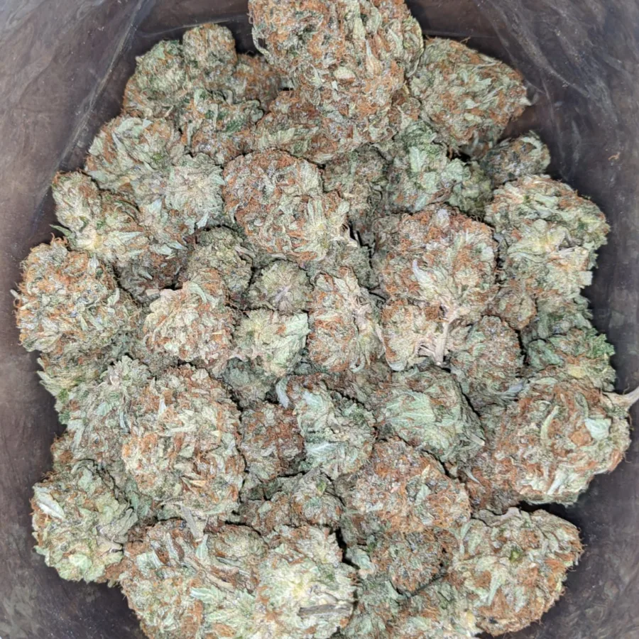 Dank Star - Image 5